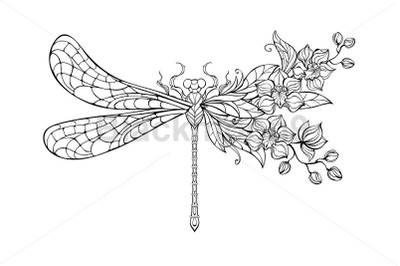 Flower dragonfly with contour orchid