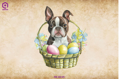 Easter Boston Terrier Clipart