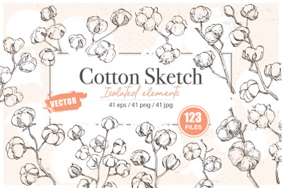 Cotton illustration outline