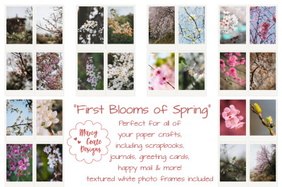 First Blooms of Spring Photos with white frames