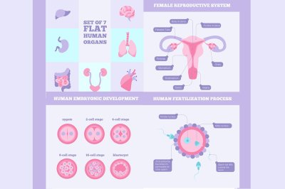 Bundle of Medicine infographic