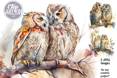 Pair of Owls in Love Wall Art Painting JPEG Watercolor Images  Set