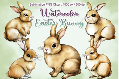 Easter Bunny Watercolor Painting Clipart Sublimation PNG