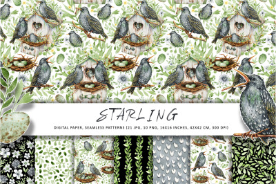 Starling family, spring birds, seamless digital paper