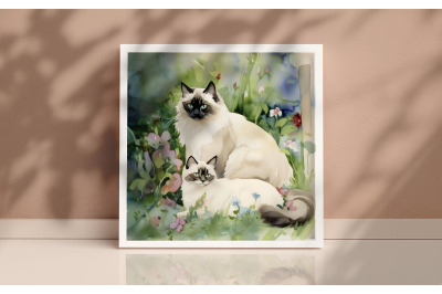 Mother Birman Cat Background