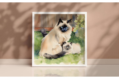 Mother Himalayan Cat Background