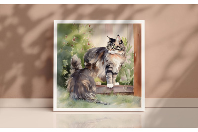 Mother Maine Coon Cat Background