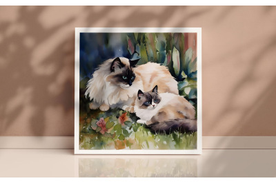 Mother Ragdoll Cat Background