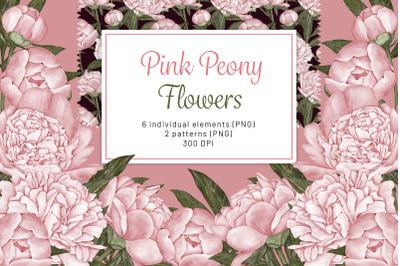 Peony Watercolor Clipart. Floral Seamless Pattern. Pink Flowers Clipar