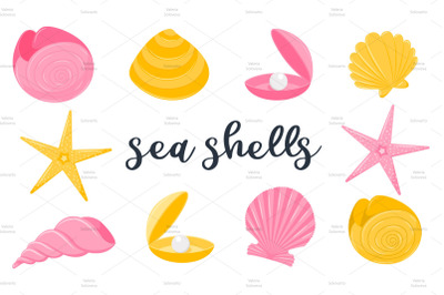 Set of seashells, starfish, pearl clam