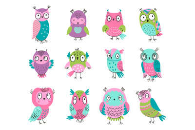 Cute cartoon owls. Nice forest owl, cutie wild colorful animals. Kids