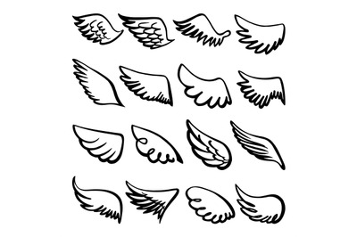 Sketch wings. Hand drawn wing angel or bird, drawing celtic doodle log