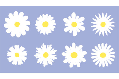 Flat daisy set. Chamomile meadow white flowers icons. Daisies floral c