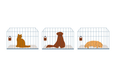 Pets in cages. Homeless dog and cats&2C; adopting concept. Animals waitin