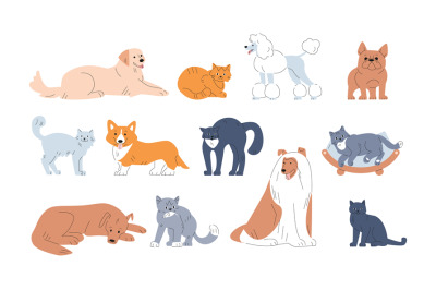 Funny pets vector set. Painting cute dog, various cats in poses. Pet s