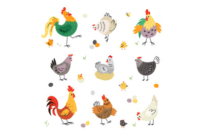 Chicken birds, hen and rooster. Poultry breeding, yellow cartoon cute