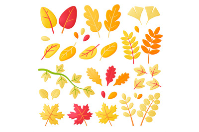 Autumn 3d leaves, forest yellow leaf renderings. Seasons fall plants,