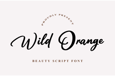Wild Orange | Modern Script Font