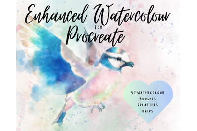 Procreate Enhanced Watercolour Brushes X 57 - Dynamic/Stamps/Textures
