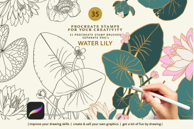Water Lily Procreate Stamp Brushes