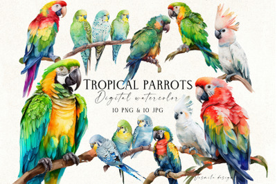 Watercolor Tropical Parrots PNG, Tropical Birds Clipart