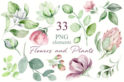 Watercolor set of FLOWERS and PLANTS. 33 png elements.