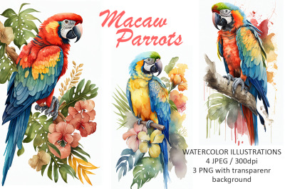 Macaw Parrots Watercolor Illustrations
