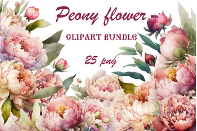 Watercolor Peony flower Clipart Bundle