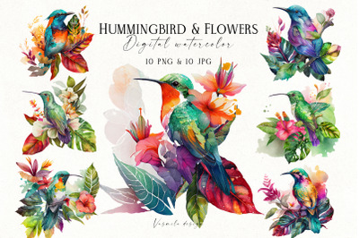 Watercolor Tropical Hummingbird