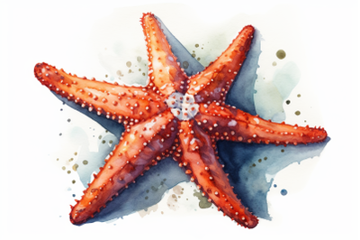 Ocean Starfish