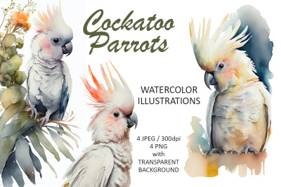Cockatoo Parrots Watercolor Illustrations