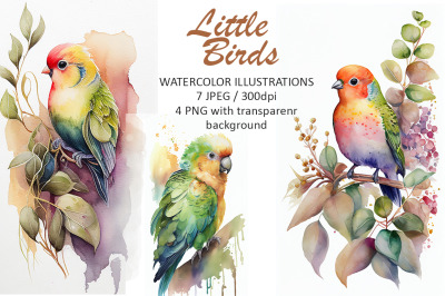 Little birds Watercolor Illustrations
