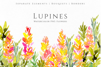 Watercolor Pink Yellow Lupine Flowers