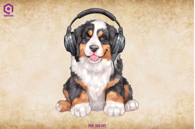 Bernese Mountain Dog Wearing Headphone