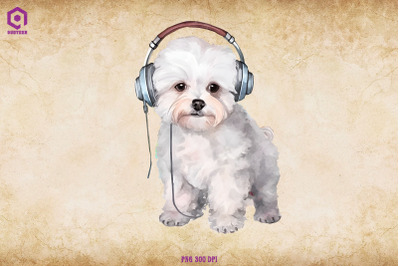 Bichon Frise Wearing Headphone