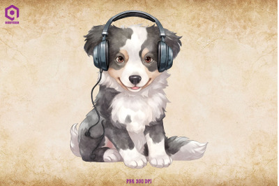 Border Collie Wearing Headphone