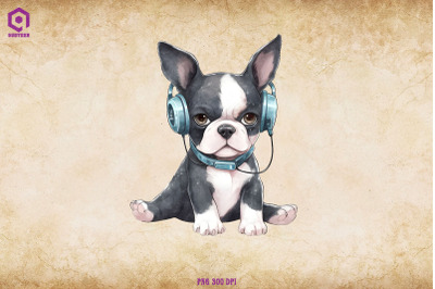 Boston Terrier Wearing Headphone