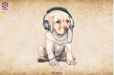 Labrador Retriever Wearing Headphone