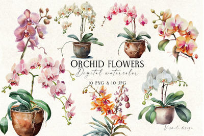 Watercolor Orchid Flowers Clipart