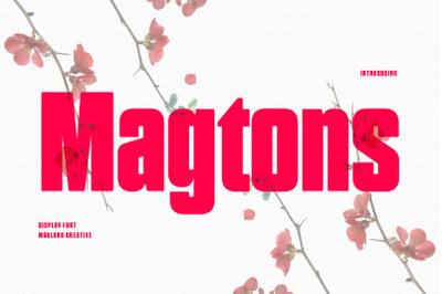 Magtons Display Font