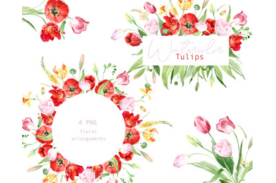 Watercolor Tulips arrangements, Spring floral clipart, Tulips frames