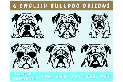English Bulldog SVG Bundle, 6 Designs, English Bulldog PNG