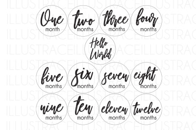 1-12 Monthly Baby Milestones Tracker Disc