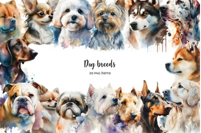 Watercolor dog breeds clipart. Dogs clip art. Dog types 35 PNG. Dog wall art. Dog lover gift. Small medium large breeds. Labrador, Terrier