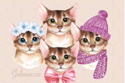 Watercolor Cats. PNG set