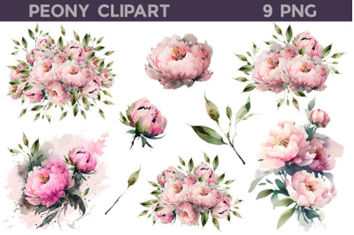 Peony Clipart PNG | Peonies Illustration PNG