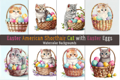 Easter American Shorthair Cat background