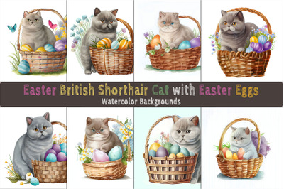 Easter British Shorthair Cat background