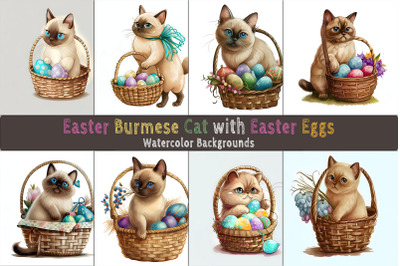 Easter Burmese Cat background