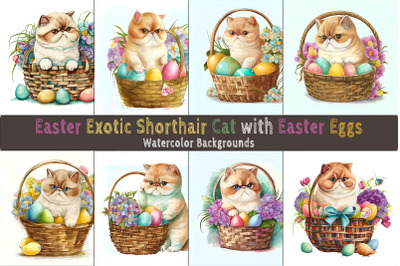 Easter Exotic Shorthair Cat background